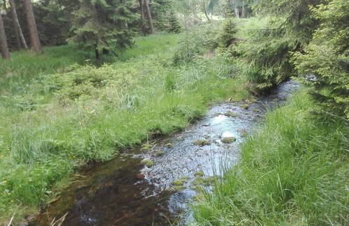 Quartier am Markt- Ferienwohnung - Foto 12