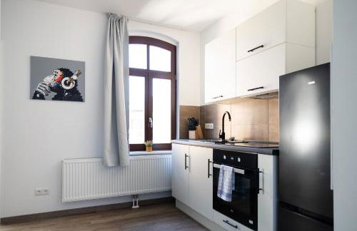 Apartments am Neuen Theater - Parkplatz nach Verfügbarkeit - Altstadt - Küche - Wifi - Powered by Ko-Living - Foto 77