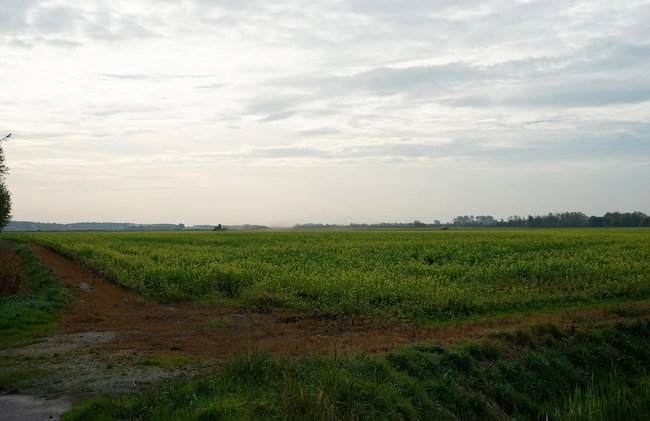 Chalet in Renesse Near Sandy Beaches - Photo 36