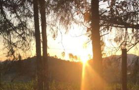 Sítio por do Sol - Pedra Azul - ES - Photo 20