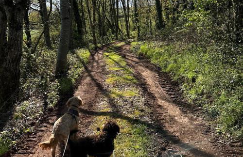 5 Bed in Tiverton oc-48151 - Foto 52