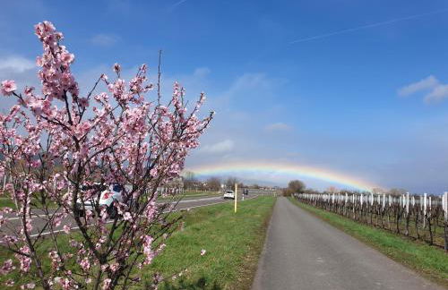 Ferienwohnung Luitpold 21 - Foto 8