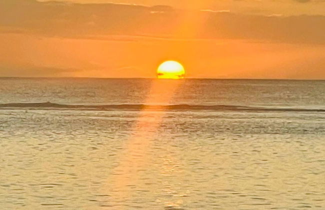 Spacious 4-bed Villa in Flic en Flac Roof top bar - Photo 33