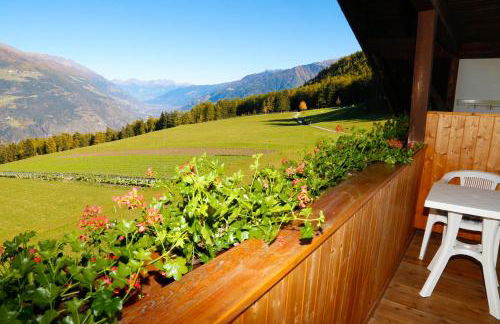 Bauernhof Mairing - Foto 18