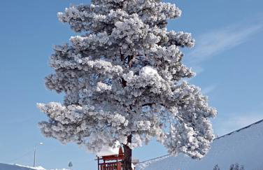 Słoneczny Domek - Foto 28