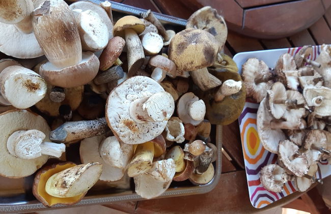 Green Retreat Kuca uz Rijeku za Savrseni Odmor - Foto 19