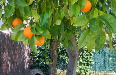 Villa Herrero - Foto 41