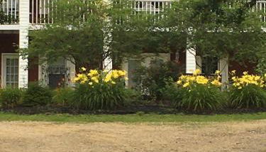 George Jones Fan Studio - Foto 1