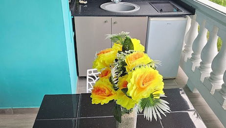 Aparthotel in Le Diamant with swimming pool and garden - Photo 4