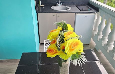 Aparthotel in Le Diamant with swimming pool and garden - Foto 4