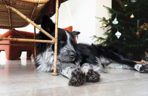 Landvilla Diebach - Foto 45