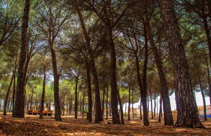 Casa Rural Valle de los Molinos - Foto 41