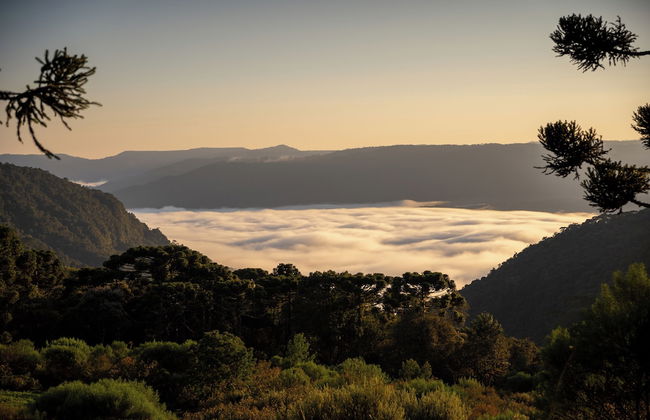 Sítio Mar de Nuvens Chalés de Luxo - Photo 42