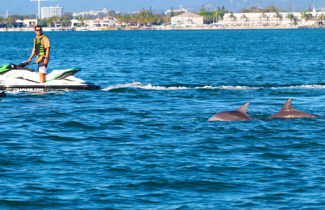 Tour di Gold Coast in moto d'acqua - Foto 5