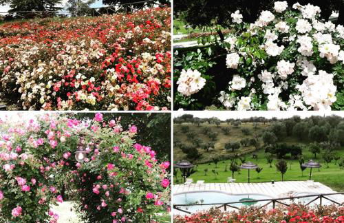 angolo di paradiso - Foto 37