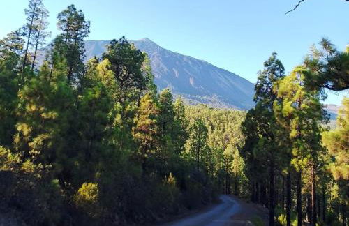 CHC - Casa Socas - Foto 1