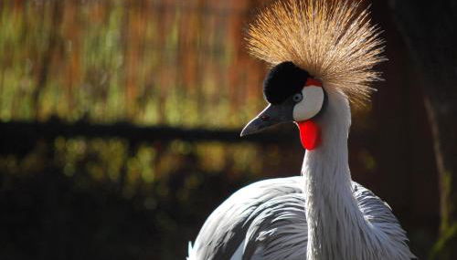 Royal Nesu Retreat House - Foto 2