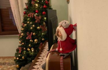 Franco house with pool - Foto 21