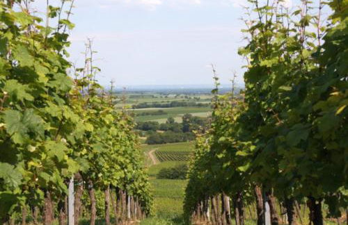 Ferienwohnung Familie Westermann - Foto 28