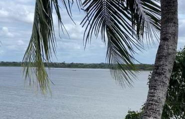 Paraíso Rio Branco - Foto 9