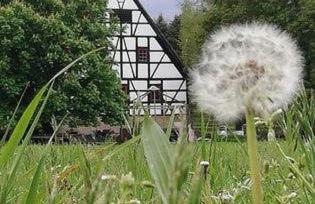 Kulturdenkmal Appenhof - Foto 12