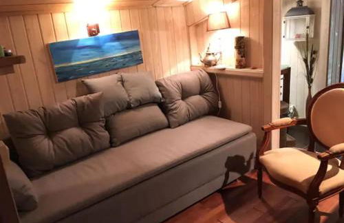 Cap Ferret Villa Grand Chalet Bois - Photo 14