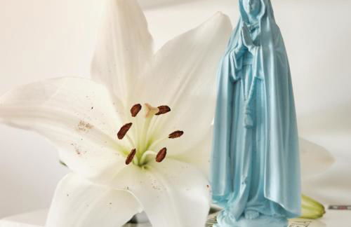 CASA DO LÍRIO - Alojamento Local - Foto 10