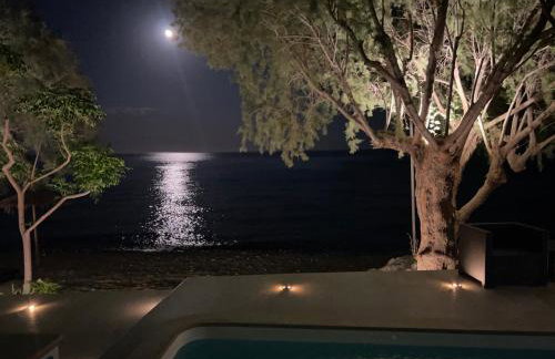 Nikkon Luxury Living - Foto 19