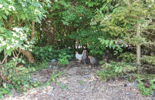 The Old Dairy - Foto 30