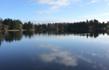 Modern Cozy next to Microsoft, Queen Bed, Parking - Foto 24