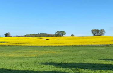 Schmuckstück in Ostseenähe - Foto 27