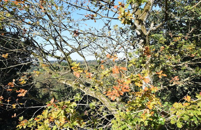 Luxurious Cottage in Durbuy With Swimming Pool - Foto 36