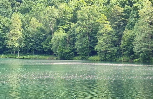 Maarchalet Modern Retreat - Photo 33