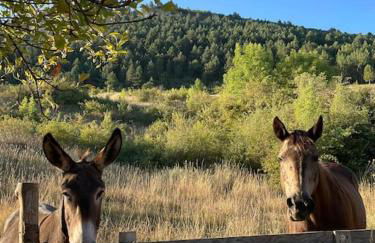 Domaine des Combes - La Ferme aux Anes 14 pers. - Foto 21
