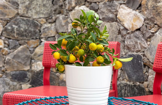 Aria Design B&B Levanto - Foto 52