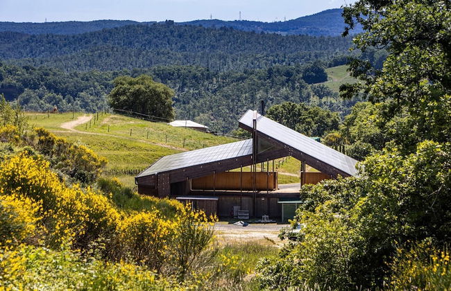 Si-h157-radi0at - Villa Airone 12 - Foto 1