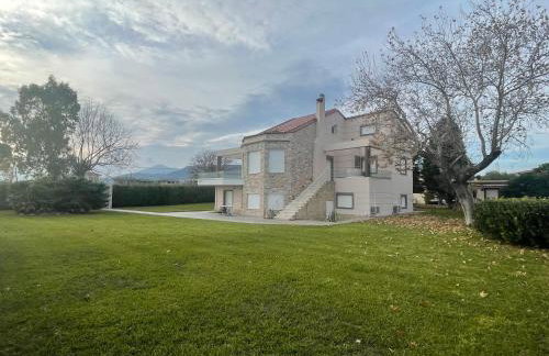 Villa Marilena - Foto 24