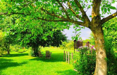 Agroturystyka "Dobre czasy" - Foto 11