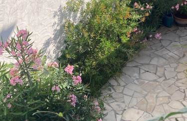 Logement hyper centre près du Port et prés salés - Foto 7