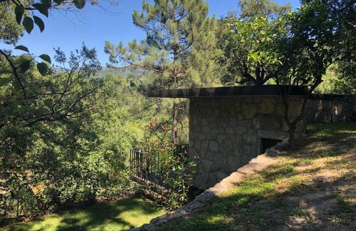 Sobreiro Valley - Casa Firmino - Foto 7