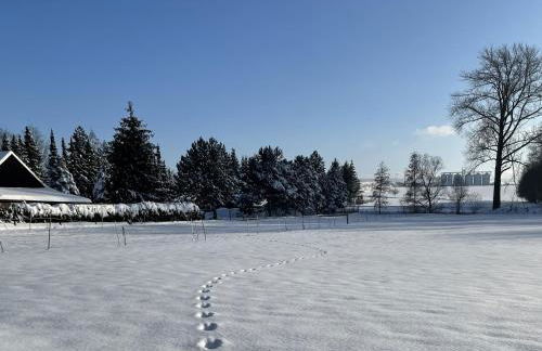 Ferienwohnung Thiel - Foto 43