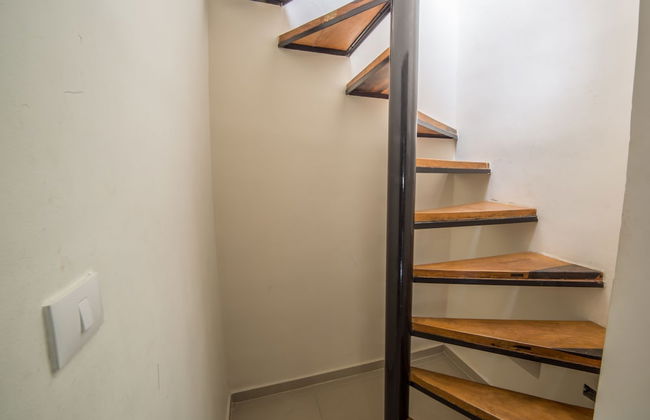 Los Elefantes D409 by Globalia - Foto 10