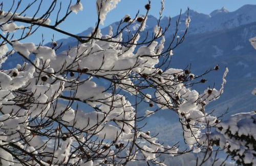 Pozza Appartamenti - Foto 18