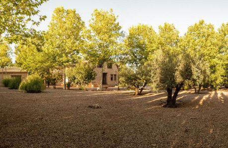 La Finca de Tomás - 5 Estrellas - Fútbol 7, Piscina Cubierta & Pádel - Foto 10