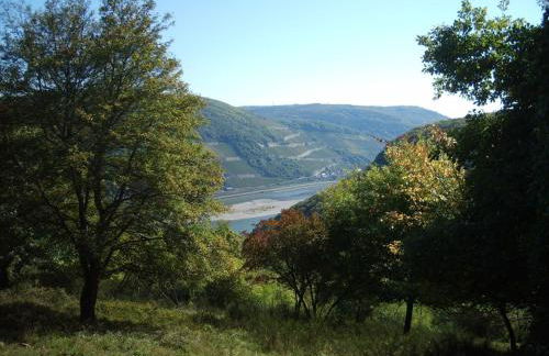 Apartment mit Balkon und Rheinblick by Interhome - Foto 20
