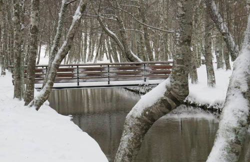 A Primeira Casinha do Mé-Mé - Foto 29