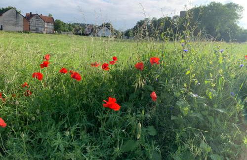 Tiny House im Grünen - Foto 28
