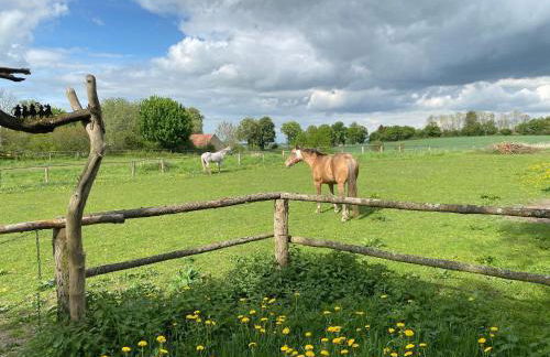 Wohnung in Lübberstorf am Neuklostersee - Foto 17