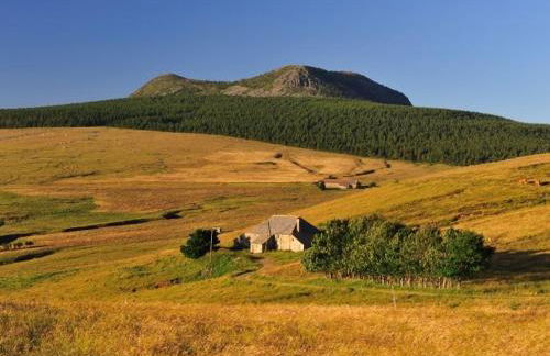 Location authentique avec cheminée et toit de chaume, proche nature et activités à St-Front - FR-1-582-291 - Foto 7