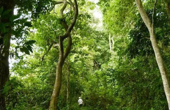 Milimani Cottages - Foto 9